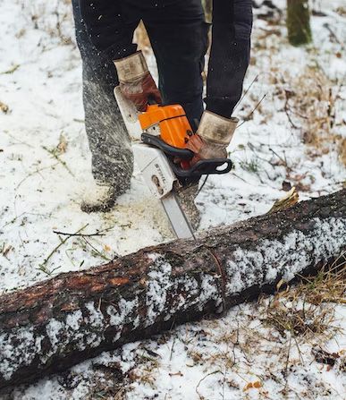 Safe operation of electric chain saws - Safety regulations for the use of electric chain saws